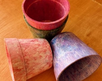 Plant Pot