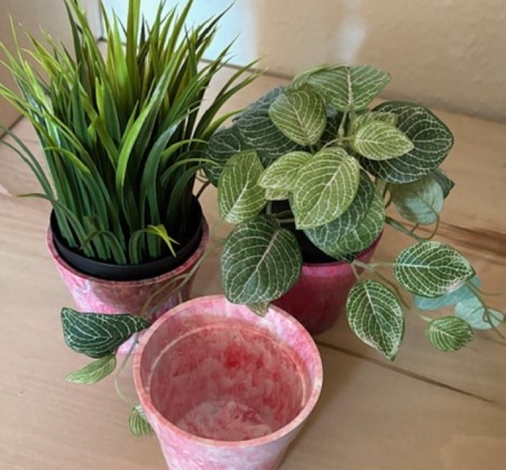 Plant Pot