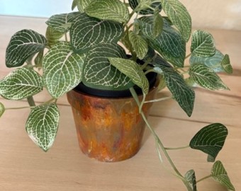 The Plant Pot - Set of 3