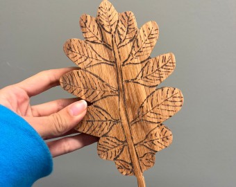 The Original Coaster Set